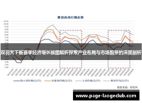 双羽天下新赛季经济增长版图解析探索产业布局与市场前景的深度剖析