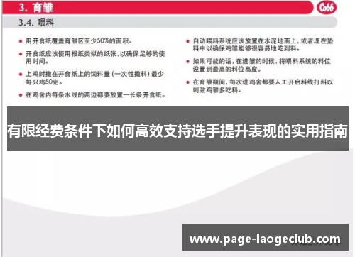 有限经费条件下如何高效支持选手提升表现的实用指南