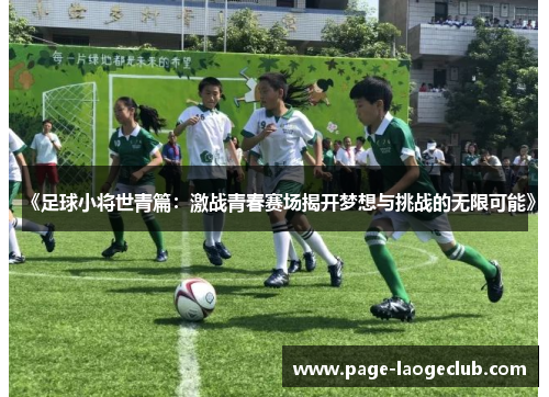 《足球小将世青篇：激战青春赛场揭开梦想与挑战的无限可能》