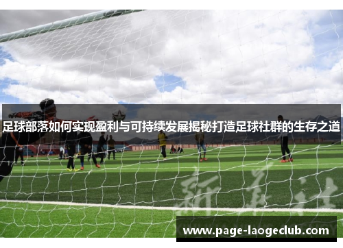 足球部落如何实现盈利与可持续发展揭秘打造足球社群的生存之道