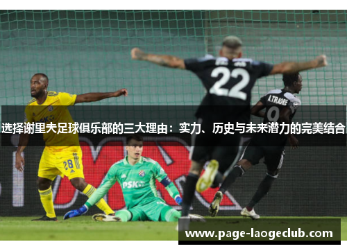 选择谢里夫足球俱乐部的三大理由:实力、历史与未来潜力的完美结合 选择谢里夫足球俱乐部的三大理由:实力、历史与未来潜力的完美结合