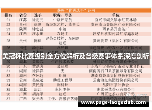 美冠杯比赛级别全方位解析及各级赛事体系深度剖析