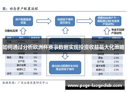 如何通过分析欧洲杯赛事数据实现投资收益最大化策略